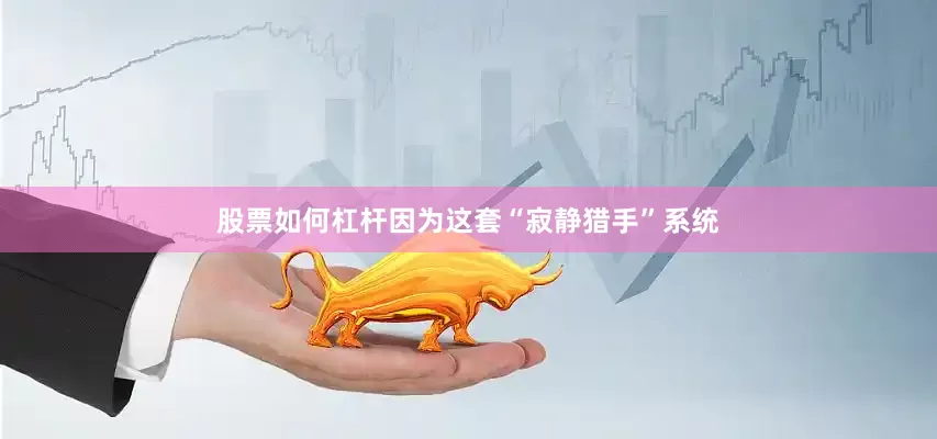 股票如何杠杆因为这套“寂静猎手”系统