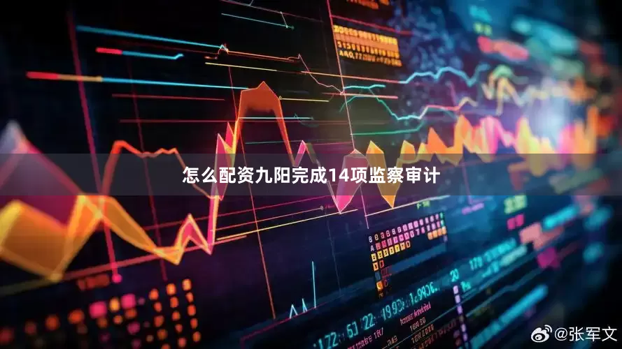 怎么配资九阳完成14项监察审计