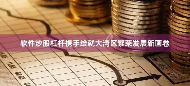 软件炒股杠杆携手绘就大湾区繁荣发展新画卷